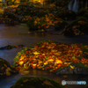 Autumn Deep color
