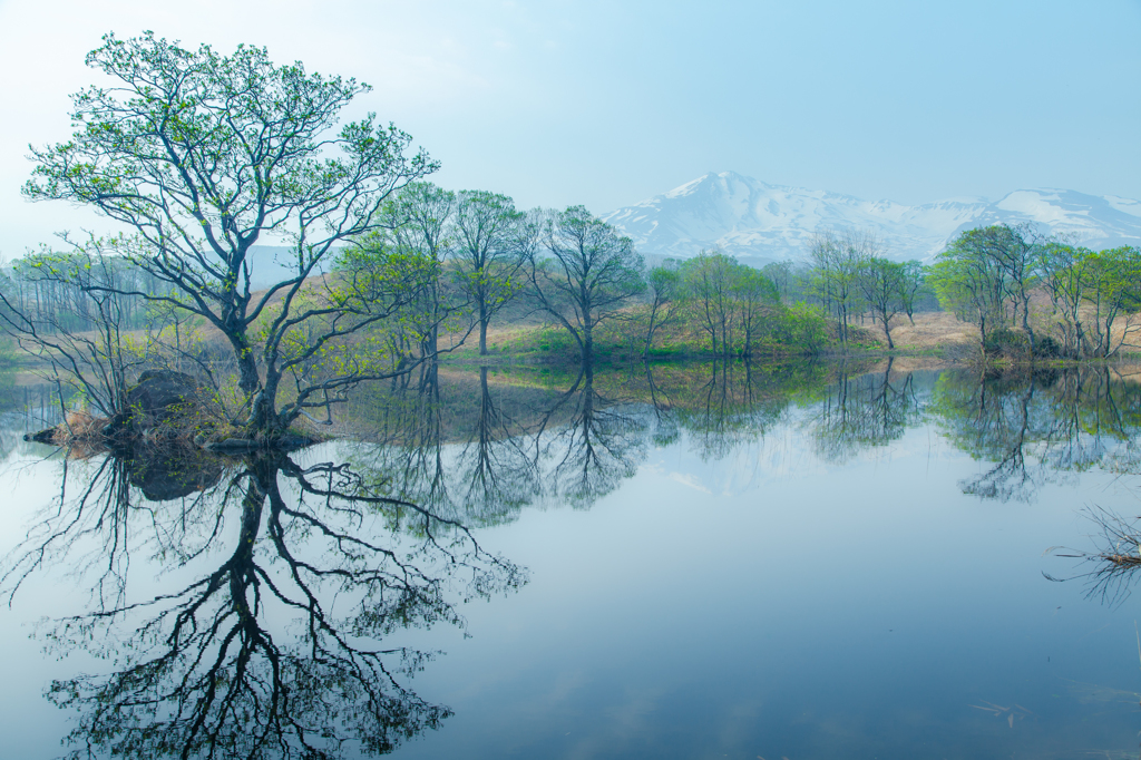 Spring landscape