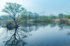 Spring landscape