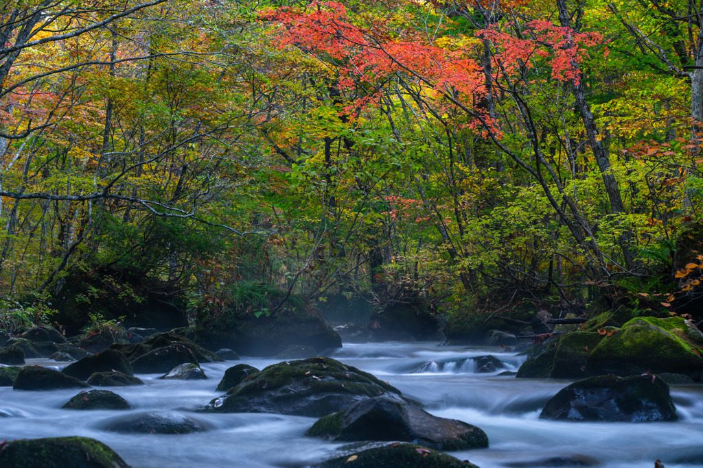 Autumn color