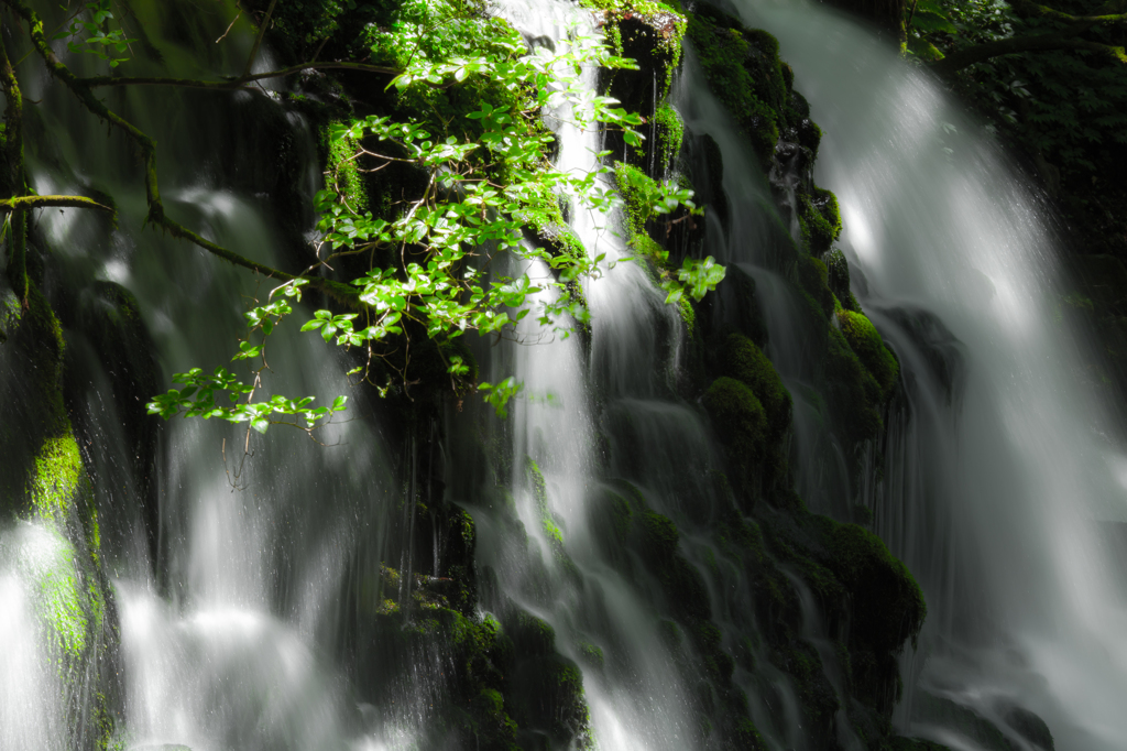 Sunlight Mototaki