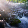 Morning light