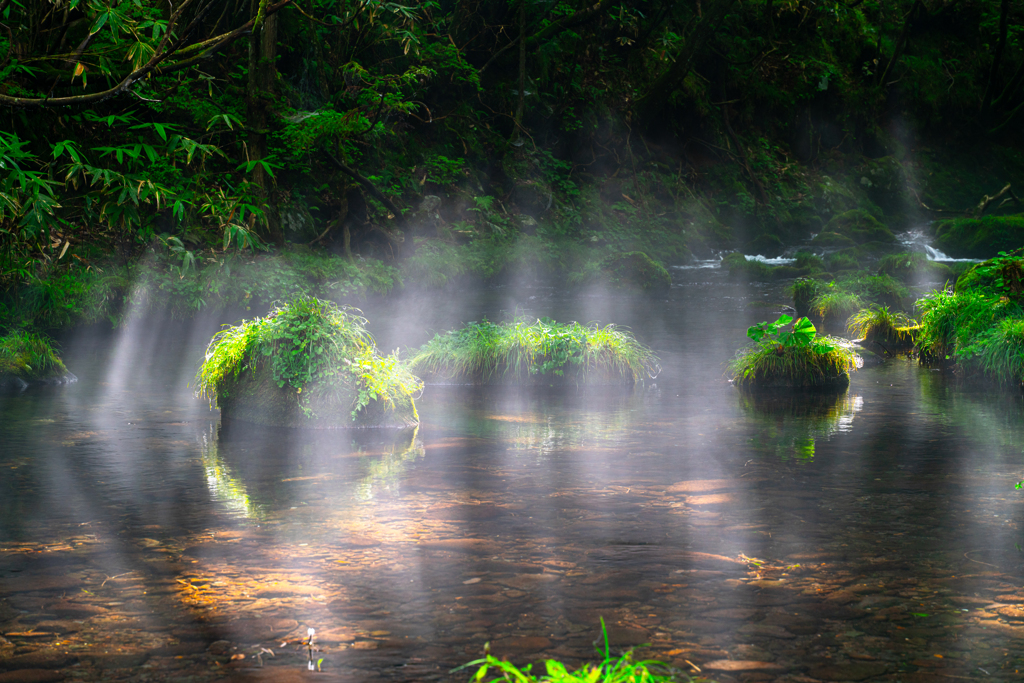 Morning light