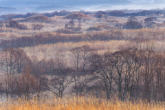 Winter dying color