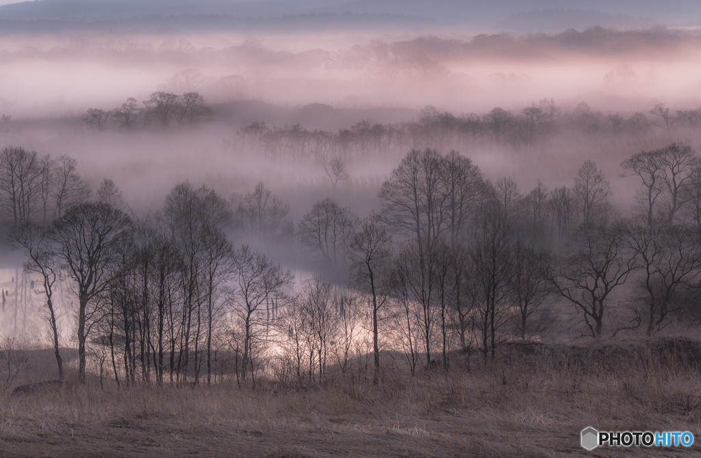 Morning mist Toushi