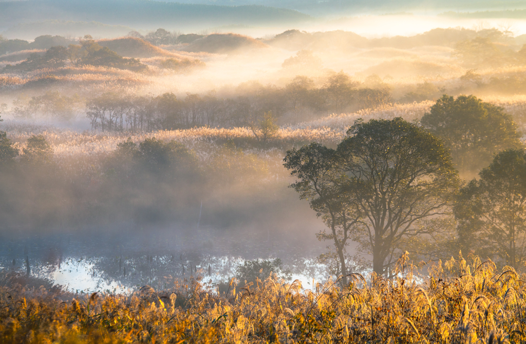 Autumn morning ~ Toushi 3