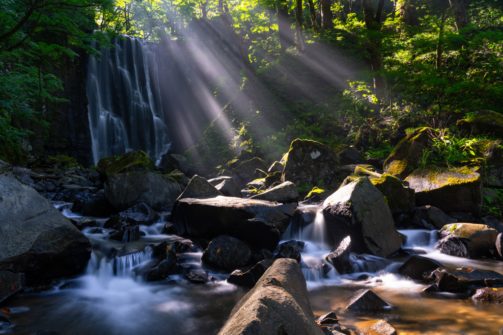 Light shower