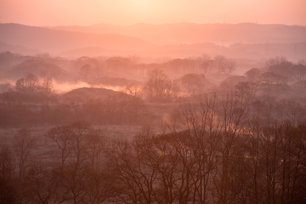 Morning color