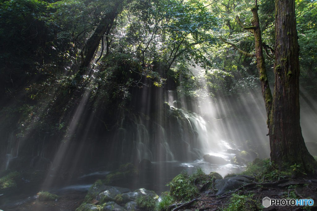 Morning shower ～ Mototaki