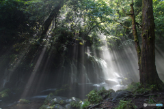 Morning shower ～ Mototaki