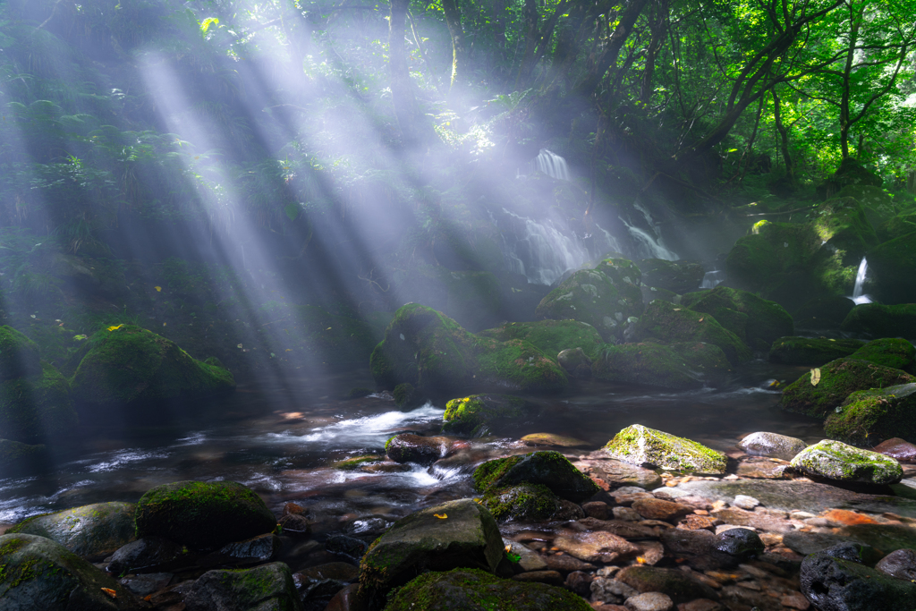 shower of light
