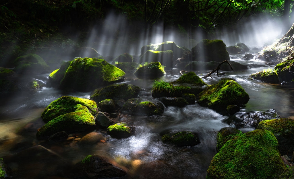 glowing stream