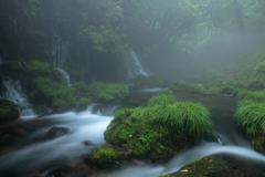 Summer mist