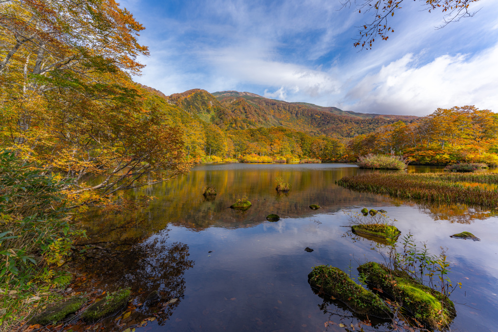 Lakeside colors