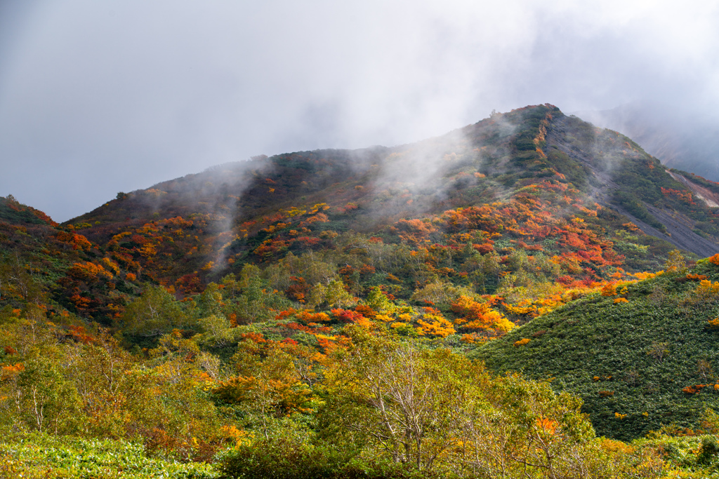 Autumn colors