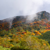 Autumn colors