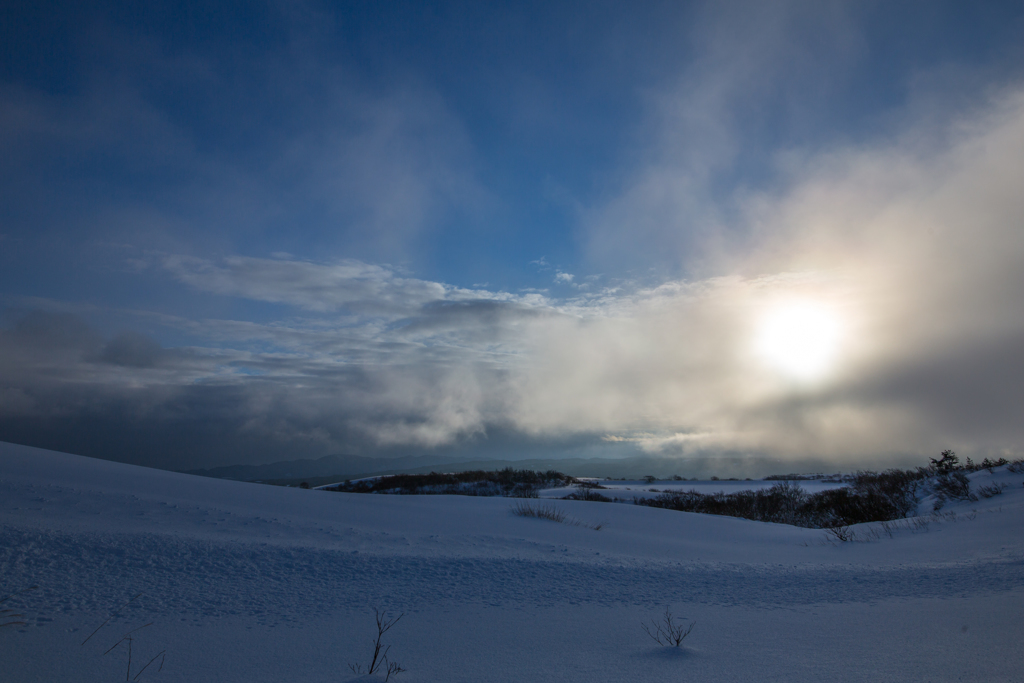 Blue Morning