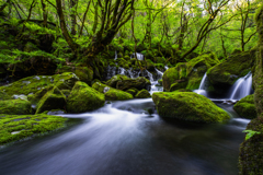 green