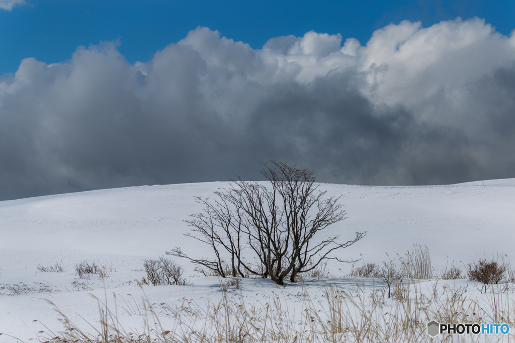 Snowy hill 2