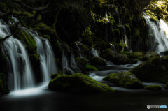 Light and shadow ～ Mototaki