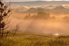 Summer morning