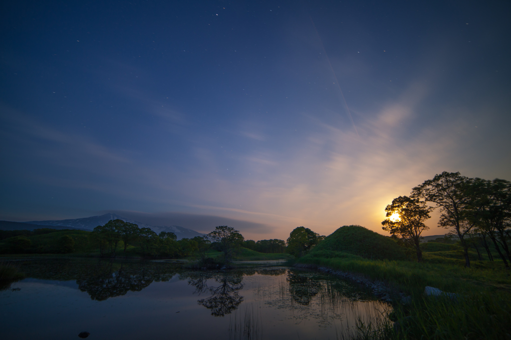 Moonlit night