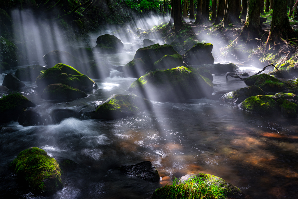 Arrow of light