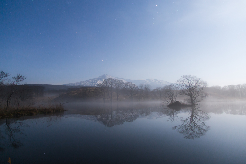 Spring Moonlight