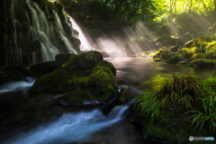 Morning light ～ Mototaki