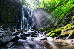 Summer Light