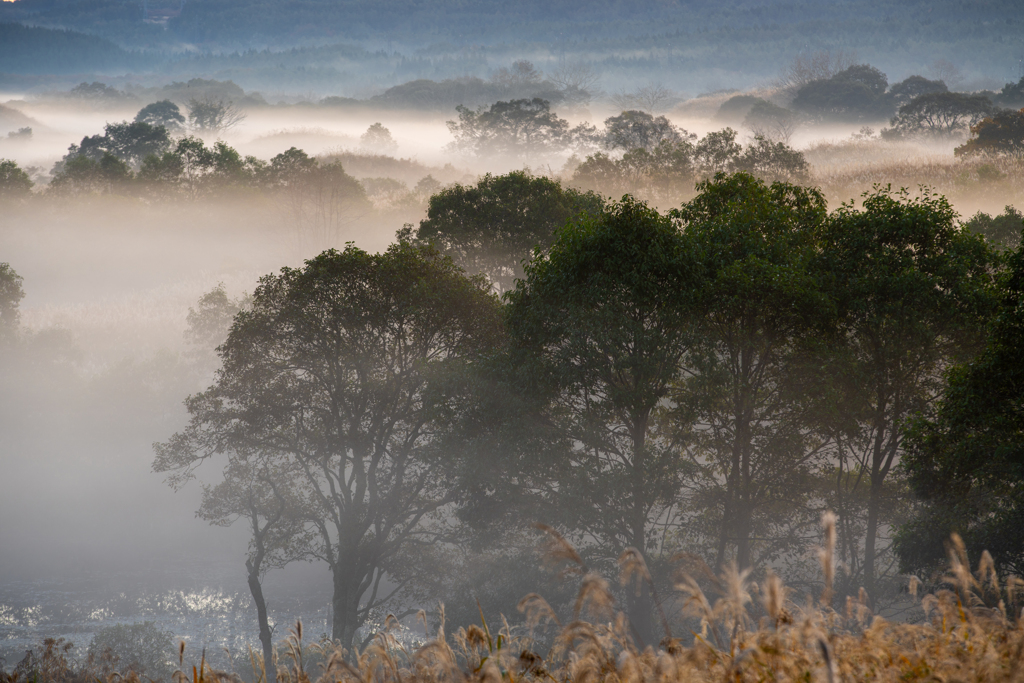 morning fog