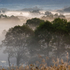 morning fog