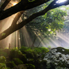 Beginning