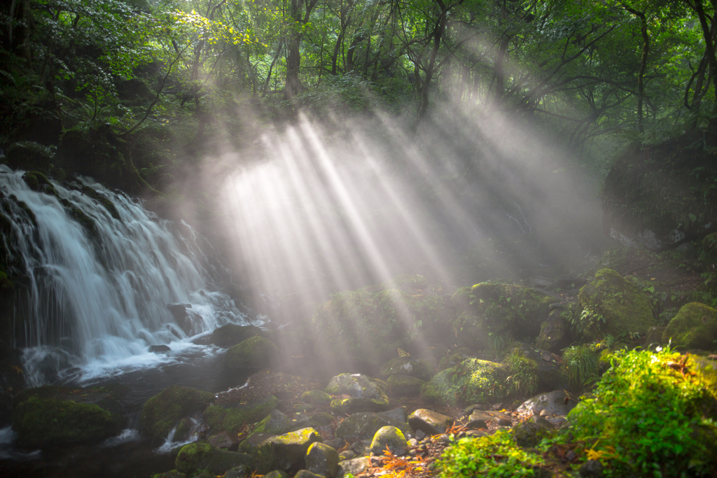 Rain and light