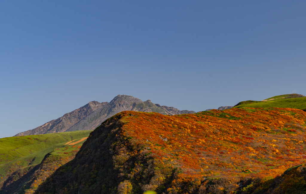 autumn colors