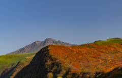 autumn colors