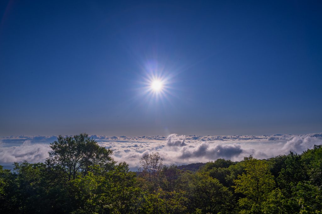 Above the Clouds