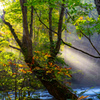 Autumn morning light