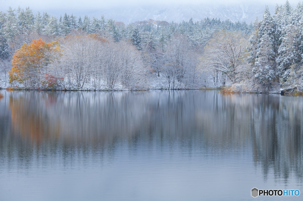 Thin Snow Color