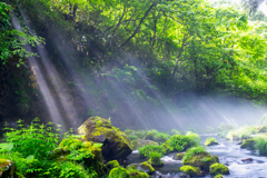 Shining light