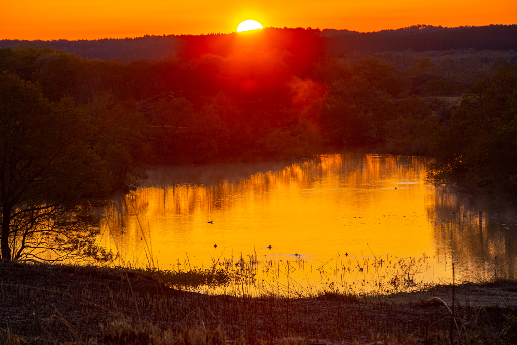 Sunrise