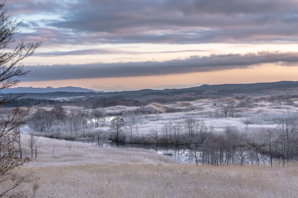 Frost morning