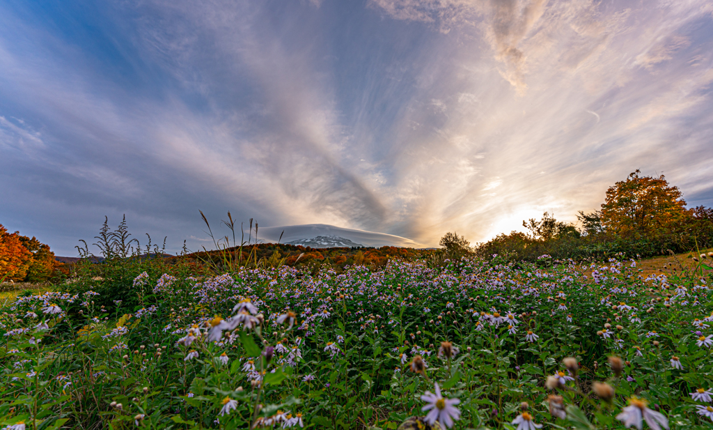 Evening plateau