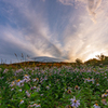 Evening plateau