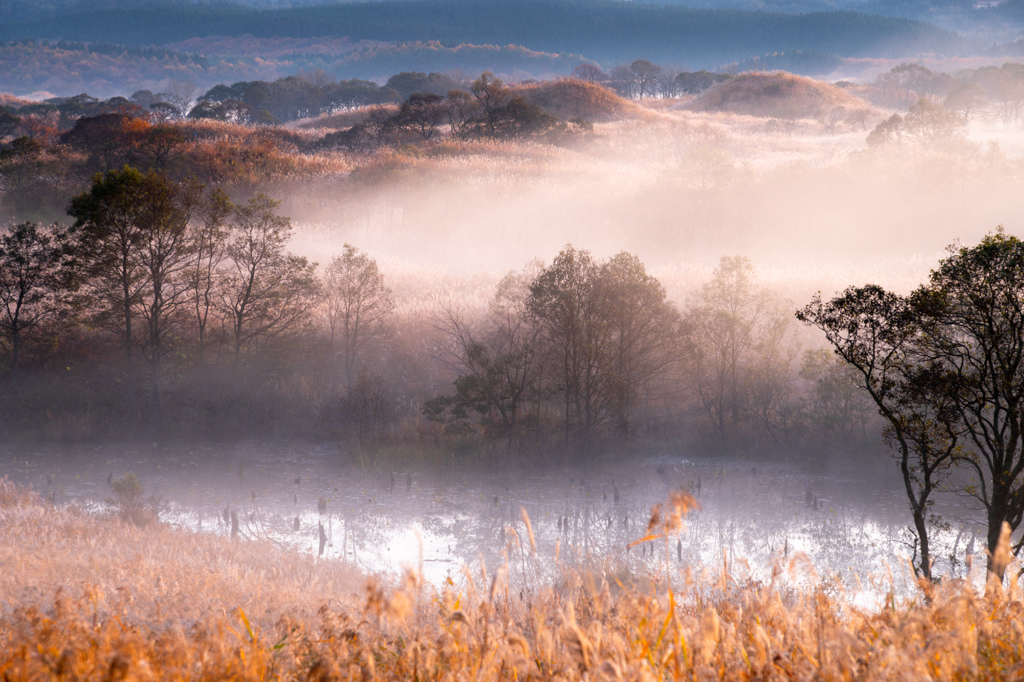 Late autumn Toushi