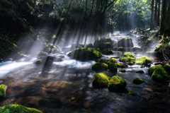 Morning light