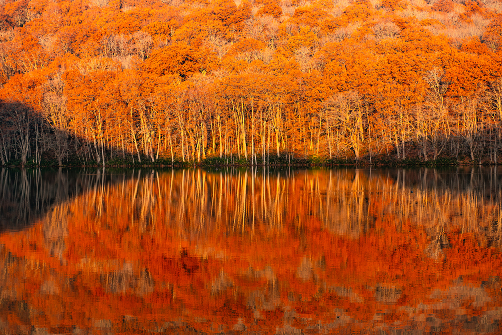 Morning mirror