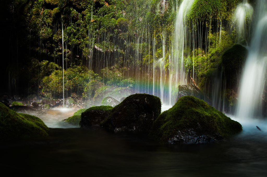 Rainbow color