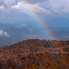 Forest and rainbow