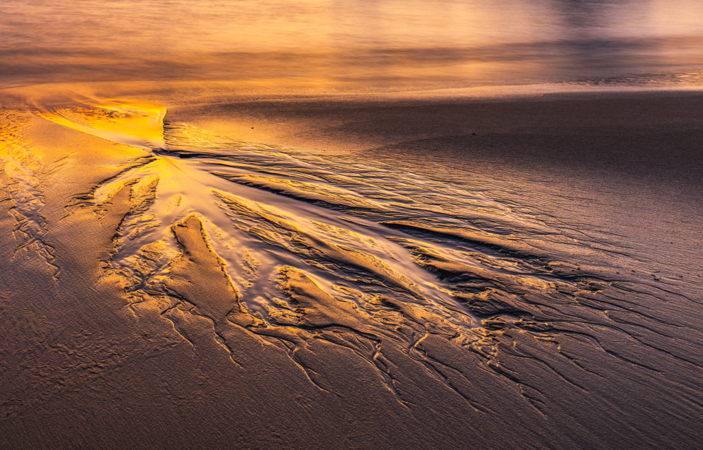 Evening light